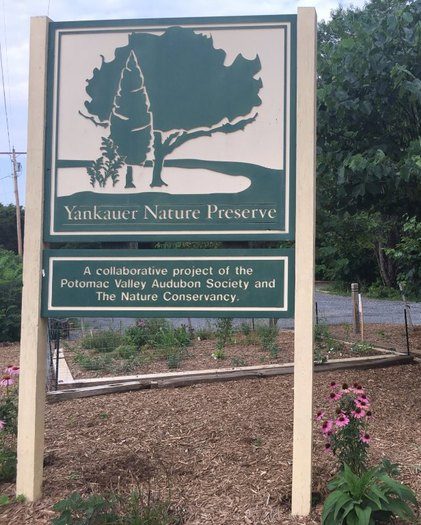 Yankauer Preserve